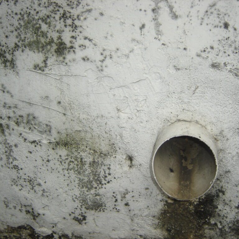 A moldy wall with an exposed pipe.